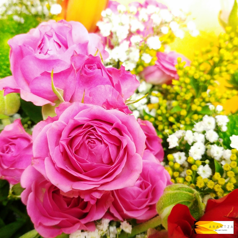 Ramo Pitiminí - Imagen 6