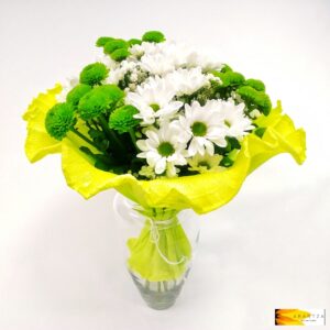 Ramo de Margaritas Blanco y Verde